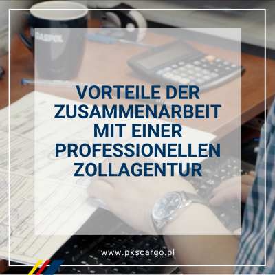 Vorteile der Zusammenarbeit mit einer professionellen Zollagentur